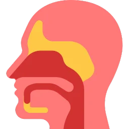 Fül-orr-gégészet